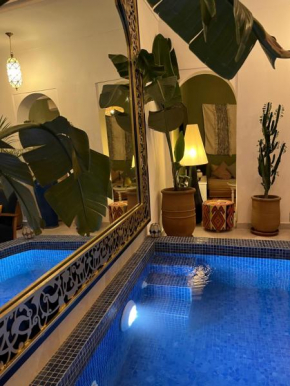 RIAD JULILU PRIVATISE